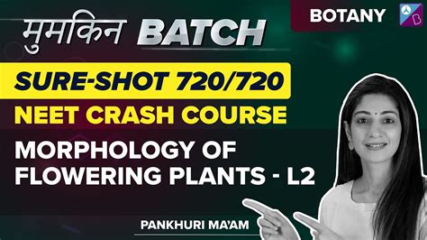 Morphology Of Flowering Plants In One Shot Crash Course Neet