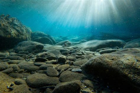 Life Discovered Deep In The Ocean Floor Science News Naked Scientists