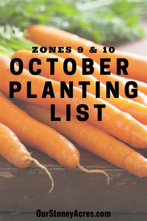 October Planting Guide Vegetables You Can Plant In October Our