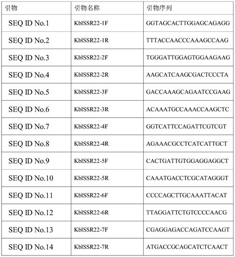 基于长寿花转录组测序信息开发的ssr引物组及其在单瓣种质鉴定中的应用