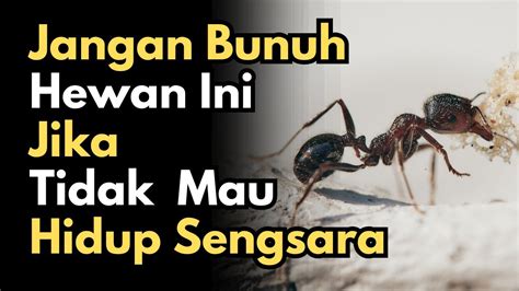 Jangan Diusir Apalagi Dibunuh Hewan Yang Dilarang Dibunuh Dalam