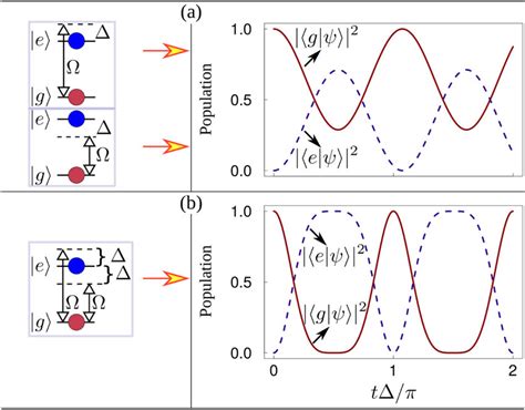 A Schematic And Population Dynamics Of Rabi Oscillations Between