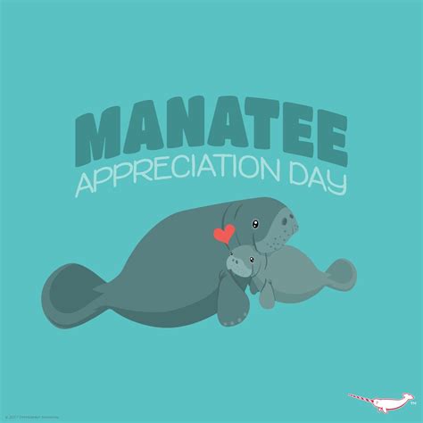 Manatee Appreciation Day | Manatee, Elementary classroom, Cute animals