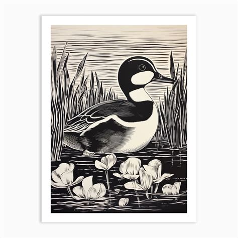 Bandw Bird Linocut Bufflehead 3 Art Print By Feathered Muse Fy