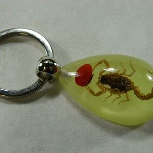 Glowing Red Bean Scorpion In Lucite Keyring Keychain Real Etsy