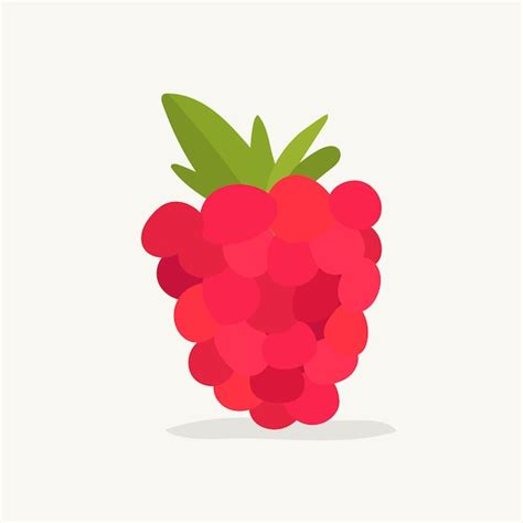 Free Vector Hand Drawn Raspberry Fruit Illustration