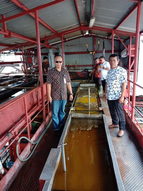 PT Aquafarm Nusantara Sisa Pengolahan Ikan Jadi Bio Solar Dan Obat