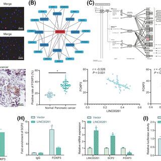 Linc Elevation Inhibits Oncogenic Phenotype Of Pc Cells A The