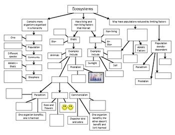 Ecosystem Concept Map Worksheet Answers Oconto County Plat Map