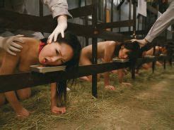 BDSM MiX 23 PeT Girls By DarKKo Porn Pictures XXX Photos Sex Images