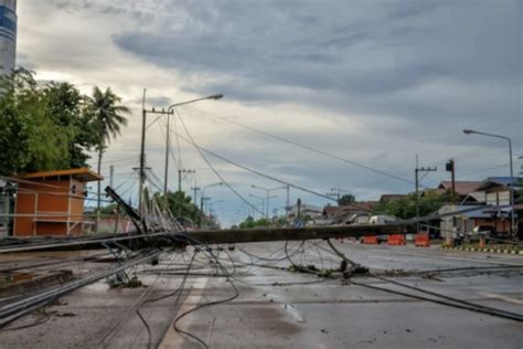 Staying Safe Around Downed Power Lines What You Need To Know