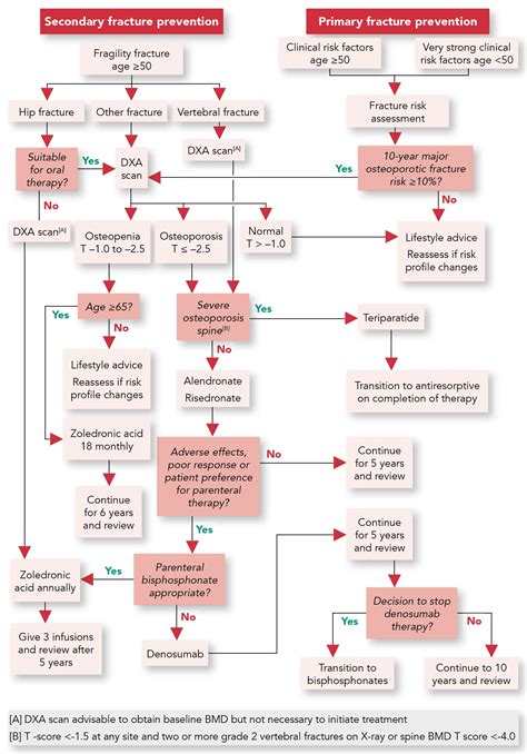 Osteoporosis Treatment Guidelines