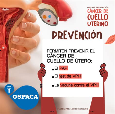 Ospaca Campañas De Prevención Cáncer De Cuello De Útero