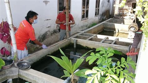 Balita Di Tulungagung Ditemukan Tewas Di Kolam Ikan