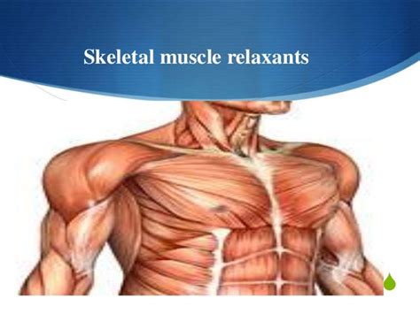 Types Of Muscle Relaxants