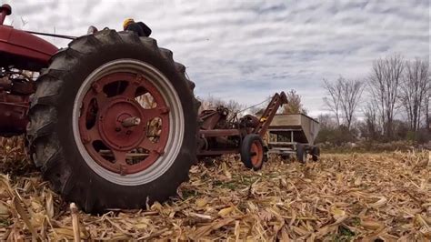 Picking Corn 1950s Style Youtube