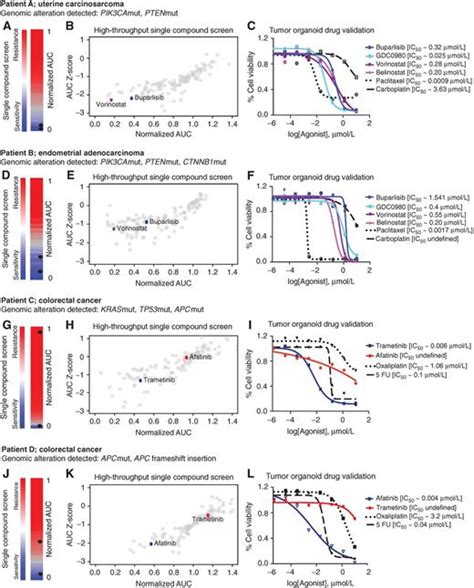 Personalized In Vitro And In Vivo Cancer Models To Guide Precision