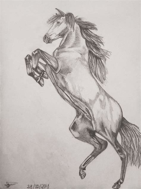 Prancing Horse - Graphite by ThomLaurent on DeviantArt