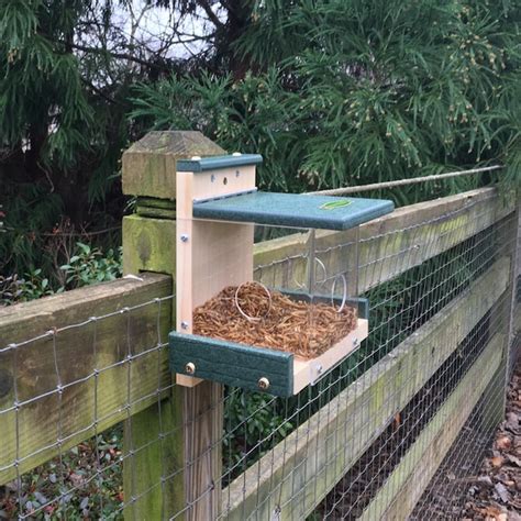 Bird-Safe® Bluebird House & Pole with Noel Guard | Etsy