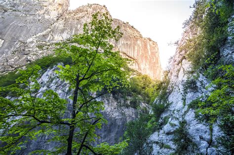verdon gorge france river  photo  pixabay pixabay