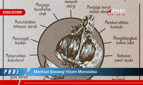 Temukan Manfaat Bawang Hitam Momoidea Yang Jarang Diketahui