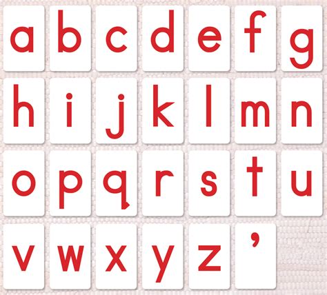 Montessori Movable Alphabet Maitri Learning