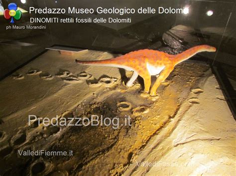 Predazzo Settimana Della Geologia Al Museo Geologico Delle Dolomiti