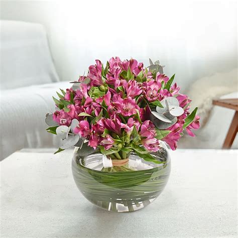 Online Purple Peruvian Lily Arrangement T Delivery In Uae Fnp