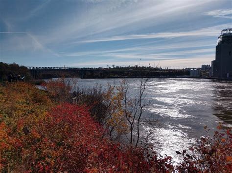 Fundy Tour Saint John 2022 Qué Saber Antes De Ir Lo Más Comentado