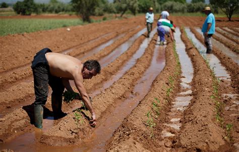 Debaten Sobre El Derecho Agrario En México Coordinación General De