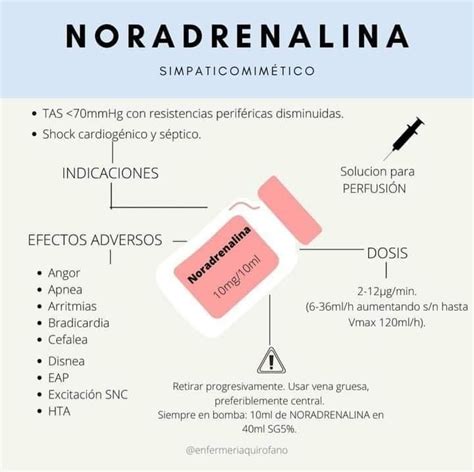 Noradrenalina O Noraepinefrina Enfermer A Farmacolog A Farmacologia