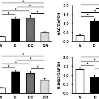 MRNA expression levels of NLRP3 ASC caspase 1 IL 1β RUNX2 and OCN