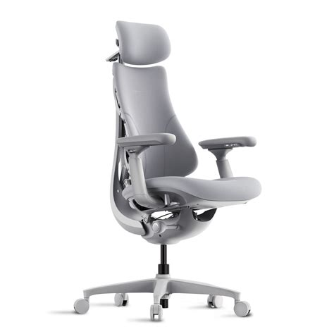 LiberNovo Omni – Best Ergonomic Chair for Back Pain & Long Hours