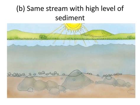 Water pollution, types | PPT