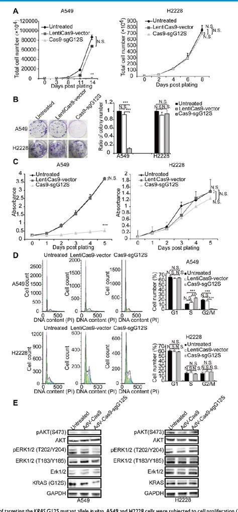 Figure From Selective Targeting Of The Oncogenic Kras G S Mutant