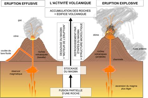 Tableau Comparaison Volcan Effusif Et Explosif