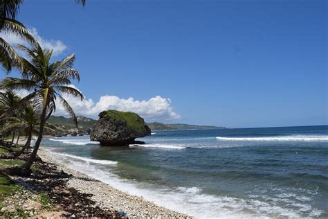 2023 Barbados Shore Excursion Island Adventure