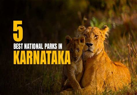 5 Best National Parks In Karnataka For An Adventure In The Wild