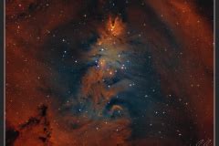 Lammasso Albero Di Natale La Nebulosa Cono E La Nebulosa Pelliccia Di