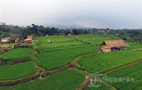 Obyek Wisata Kampung Tematik Mulyaharja Bogor Foto 4 1884905