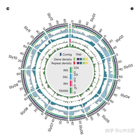 超级泛基因组分析突出了野生和栽培番茄物种的基因组多样性和结构变异 知乎