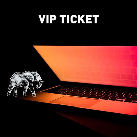 VIP Ticket - Unfussy