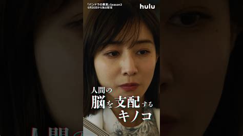 【season3本予告🧬】huluオリジナル「パンドラの果実 〜科学犯罪捜査ファイル〜」｜6月16日（日）最新章spの地上波放送後