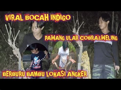 VIDIO VIRAL 2023 BOCIL INDIGO SANG PETUALANG LIAR - YouTube
