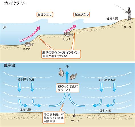 ヒラメ釣り徹底攻略｜サーフでねらいめのポイントと見つけ方｜honda釣り倶楽部｜honda公式サイト