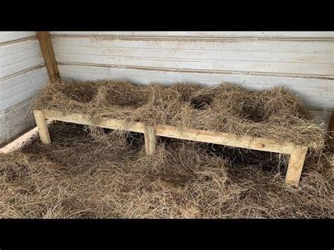 How to Build a Turkey Nest Box | A Payne Family Saturday | Pet turkey ...