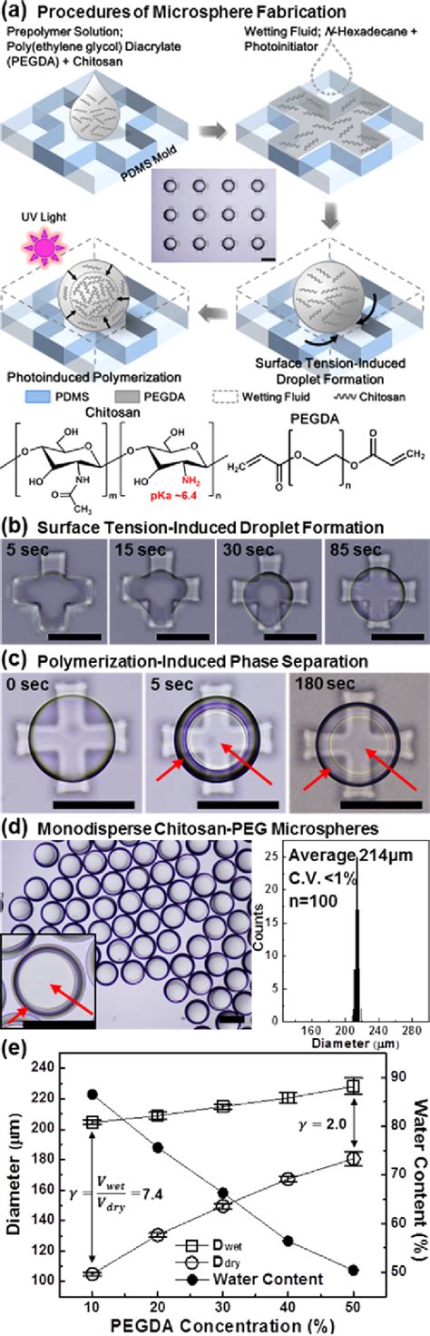 Figure From Facile Micromolding Based Fabrication Of Biopolymeric