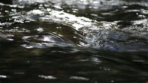 Ripple Of Mountain River Stream Background For Relax Ambient Sound