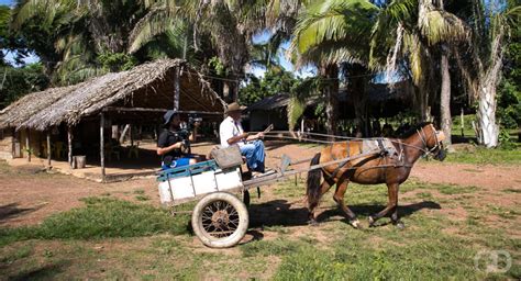 Mt Possui Comunidades Quilombolas Em Processo De Regulariza O