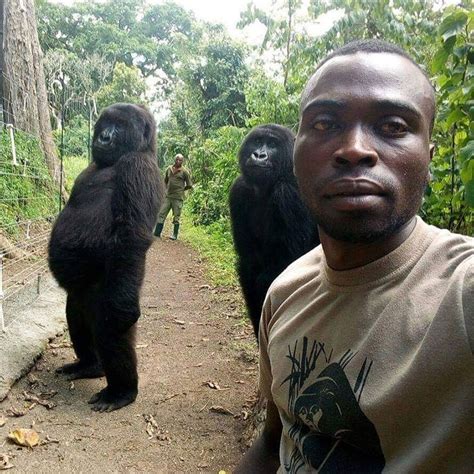 create meme photo  monkey selfie  black man  selfie